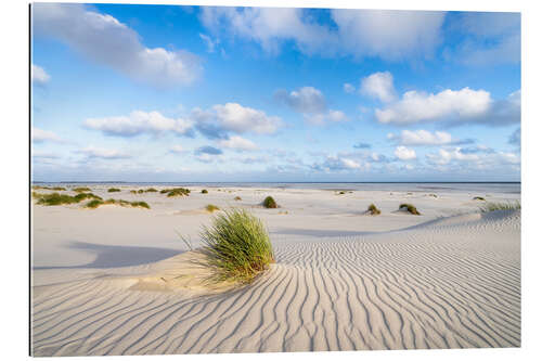 Gallery Print Dünensand im Sommer an der Nordsee