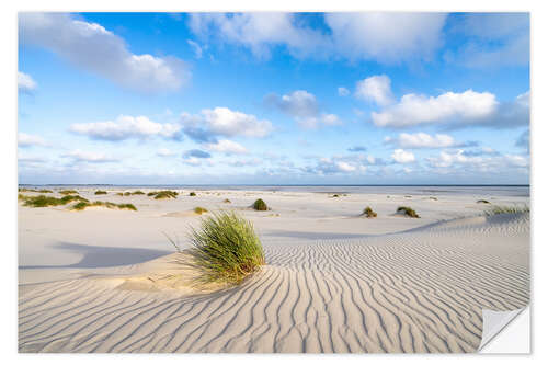 Wandsticker Dünensand im Sommer an der Nordsee