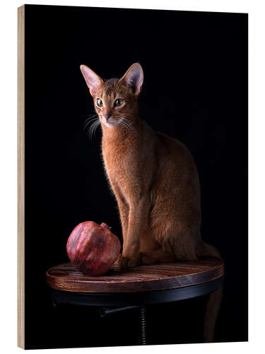 Quadro de madeira Young Abyssinian Cat II