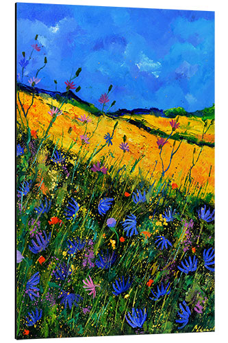 Aluminium print Wildflowers on a hill