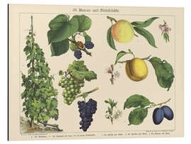 Aluminiumtavla Berries and Fruits (German)