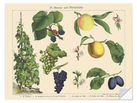 Adesivo murale Berries and Fruits (German)