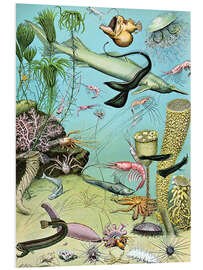 Foam board print Illustration of a Deepwater Ecosystem, 1923