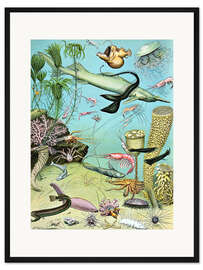 Gerahmter Kunstdruck Abbildung eines Tiefsee-Ökosystems, 1923