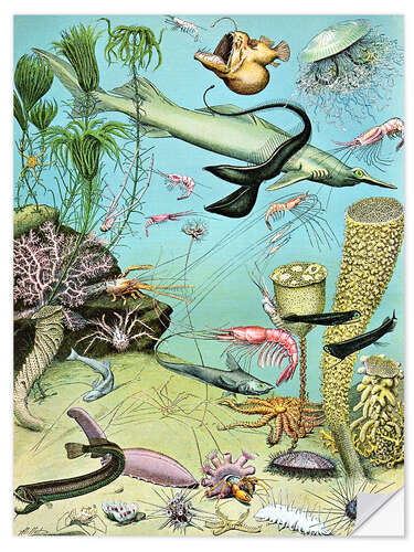 Sticker mural Illustration of a Deepwater Ecosystem, 1923