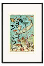 Gerahmter Kunstdruck Tiefsee Unterwasserszene, 1923