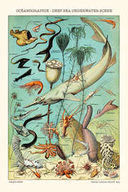 Magnettafel Tiefsee Unterwasserszene, 1923