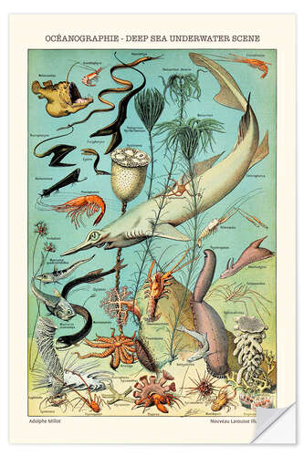 Selvklebende plakat Deap Sea Underwater Scene, 1923