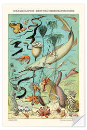 Wall sticker Deap Sea Underwater Scene, 1923