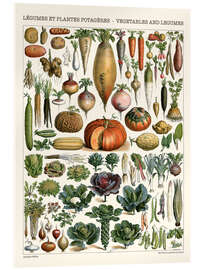 Akryylilasitaulu  Vegetables and Legumes - Adolphe Millot
