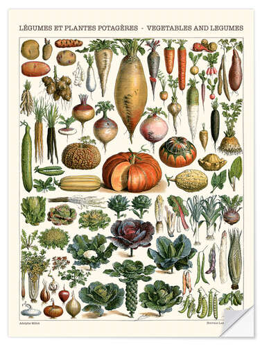 Vinilo para la pared Vegetables and Legumes