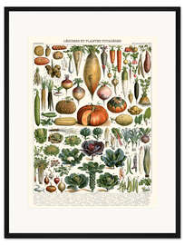 Gerahmter Kunstdruck Gemüse und Hülsenfrüchte (französisch)