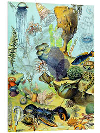 Foam board print Illustration of an Underwater Scene, 1923