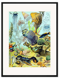 Gerahmter Kunstdruck Abbildung einer Unterwasserszene, 1923