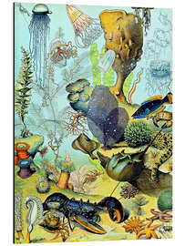 Magnettafel Abbildung einer Unterwasserszene, 1923