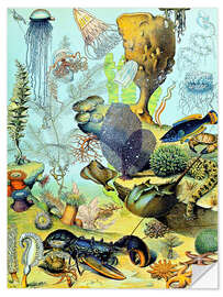 Muursticker Illustration of an Underwater Scene, 1923