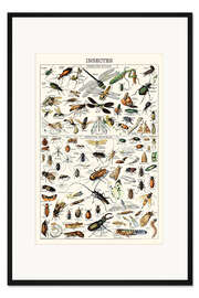 Gerahmter Kunstdruck Insekten I, 1923 (französisch)