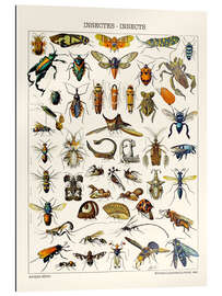 Gallery print Insects, 1923