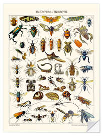 Selvklebende plakat Insects, 1923