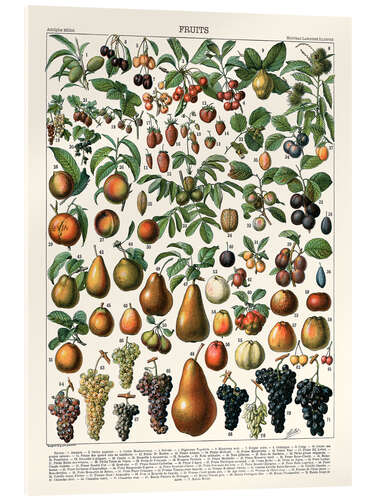 Obraz na szkle akrylowym Fruits, 1923 (french)