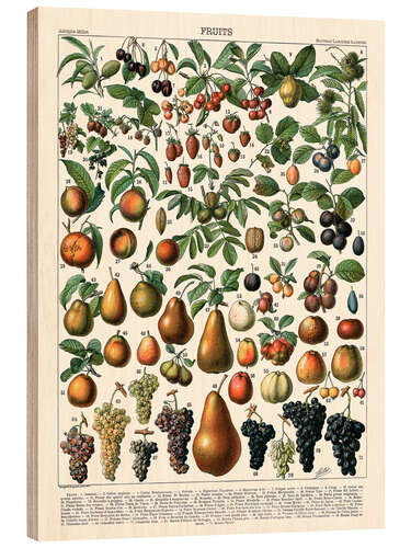 Wood print Fruits, 1923 (French)