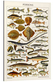 Magnettafel Fische, 1923 (französisch)