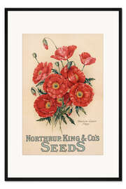 Gerahmter Kunstdruck Northrup, Kings &amp; Co's Seeds, 1898