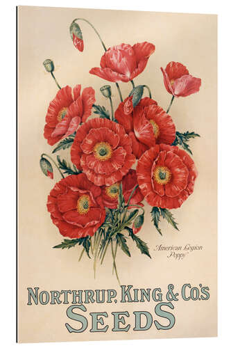 Gallery print Northrup, Kings & Co's Seeds, 1898