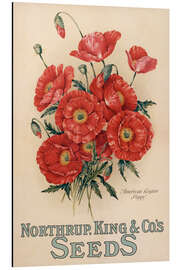 Magnettafel Northrup, Kings &amp; Co's Seeds, 1898