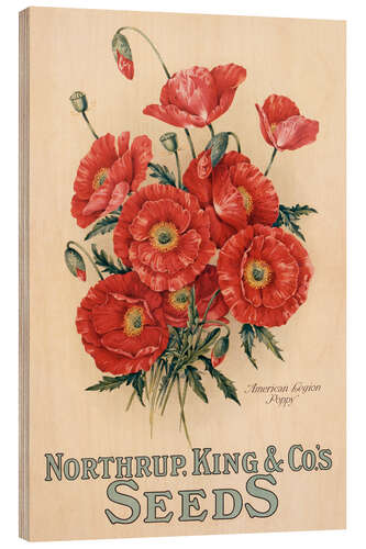 Trebilde Northrup, Kings & Co's Seeds, 1898