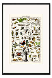 Gerahmter Kunstdruck Wirbellose, 1923 (französisch)