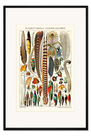 Gerahmter Kunstdruck Federn und Vögel, 1923 (französisch)