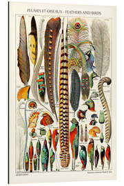 Magnettafel Federn und Vögel, 1923 (französisch)