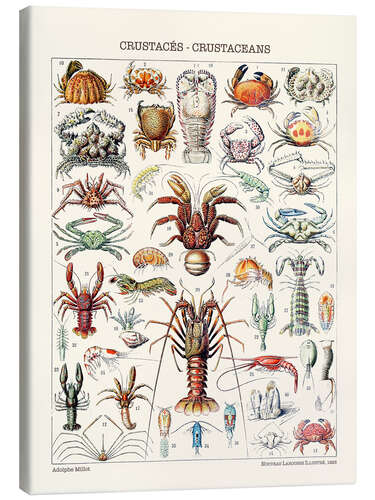 Stampa su tela Crustaceans, 1923