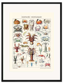Gerahmter Kunstdruck Krebstiere, 1923