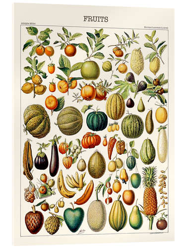 Cuadro de metacrilato Illustration of Fruits, 1923