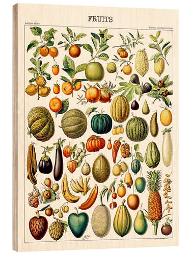 Trebilde Illustration of Fruits, 1923