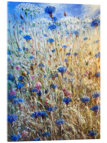 Acrylglasbild Kornblumen II