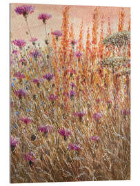 Gallery print Scabious &amp; Docks