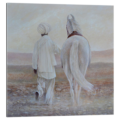 Quadro em plexi-alumínio Rabari and white horse