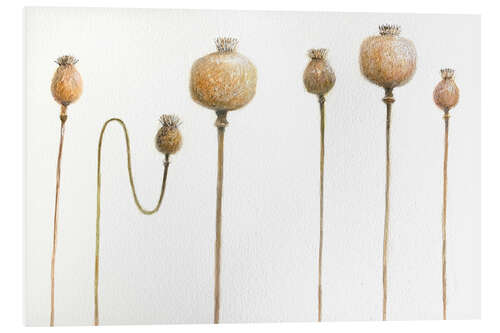 PVC print Dried Poppies