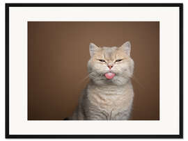 Gerahmter Kunstdruck Beige Katze streckt die Zunge raus