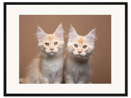 Gerahmter Kunstdruck Zwei Geschwitzer-Katzen