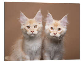 Gallery print Two siblings cats