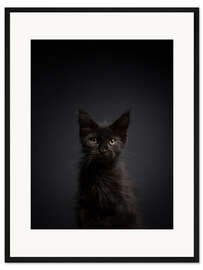 Gerahmter Kunstdruck Junge, schwarze Katze im Dunkeln
