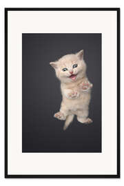 Gerahmter Kunstdruck Kleines, miauendes Kätzchen