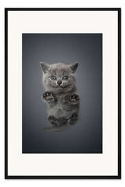 Gerahmter Kunstdruck Kleines, graues Kätzchen