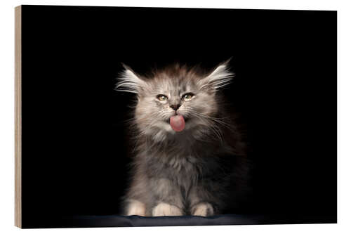 Tableau en bois Long-haired cat sticks out its tongue