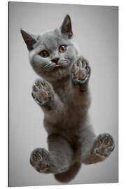 Magnettafel Hey, du da unten!