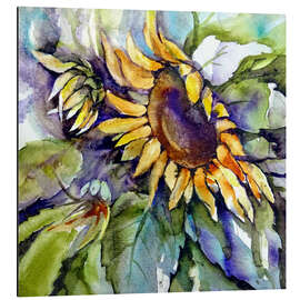 Aluminium print Sunflowers